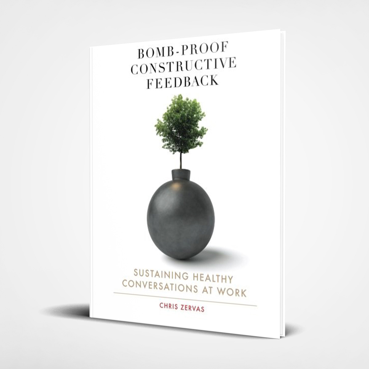 Chris Zervas presenting on Bomb Proof Constructive Feedback